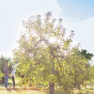 Meet your Posher, Lindsey